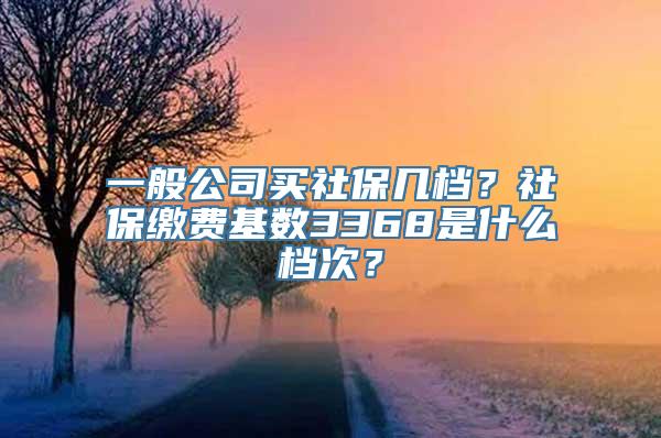 一般公司买社保几档？社保缴费基数3368是什么档次？