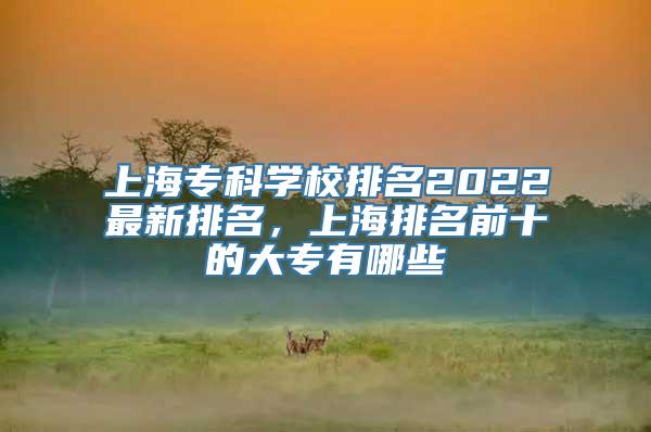 上海专科学校排名2022最新排名，上海排名前十的大专有哪些