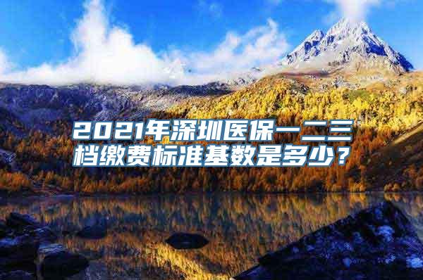 2021年深圳医保一二三档缴费标准基数是多少？