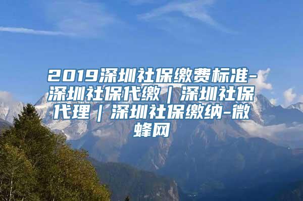 2019深圳社保缴费标准-深圳社保代缴｜深圳社保代理｜深圳社保缴纳-微蜂网