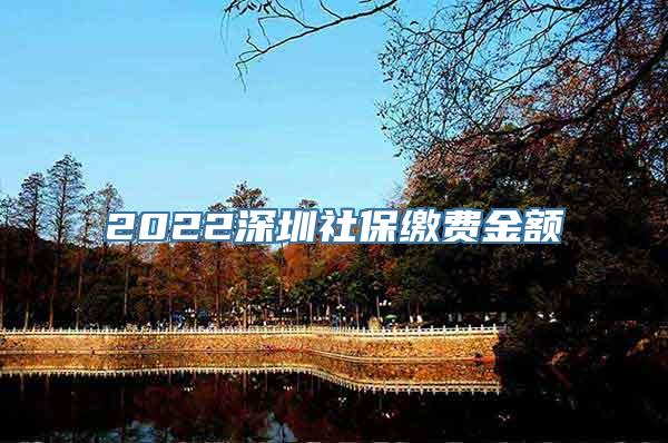 2022深圳社保缴费金额