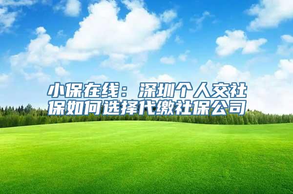 小保在线：深圳个人交社保如何选择代缴社保公司