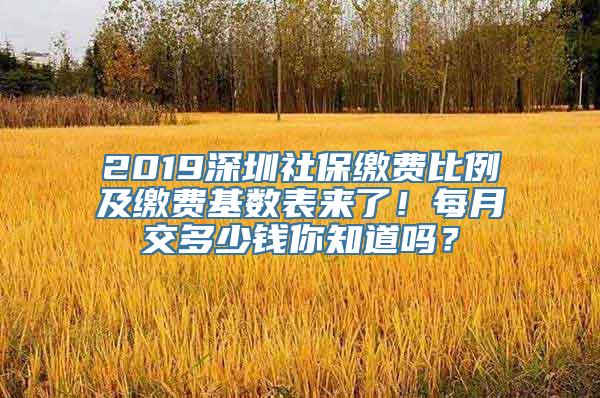 2019深圳社保缴费比例及缴费基数表来了！每月交多少钱你知道吗？