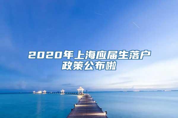 2020年上海应届生落户政策公布啦