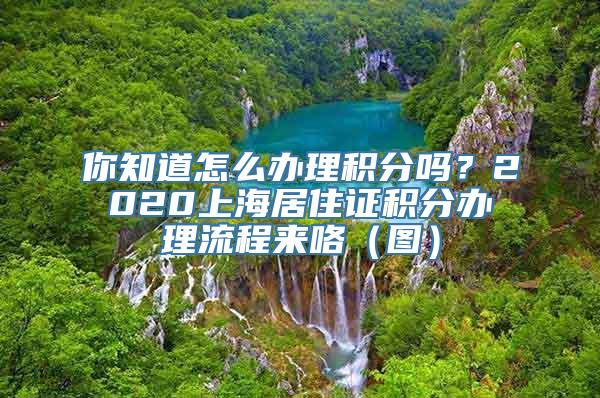 你知道怎么办理积分吗？2020上海居住证积分办理流程来咯（图）