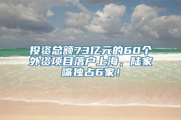 投资总额73亿元的60个外资项目落户上海，陆家嘴独占6家！