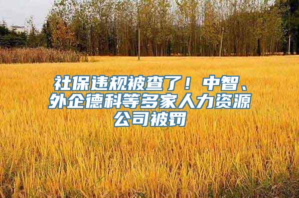 社保违规被查了！中智、外企德科等多家人力资源公司被罚