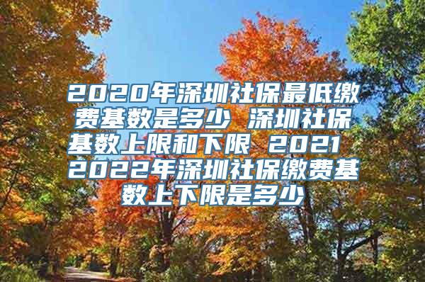 2020年深圳社保最低缴费基数是多少 深圳社保基数上限和下限 2021 2022年深圳社保缴费基数上下限是多少