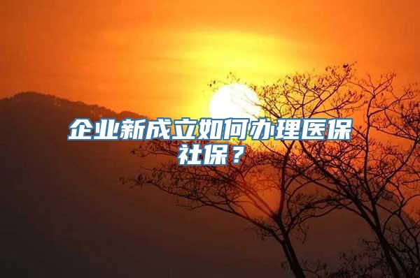 企业新成立如何办理医保社保？