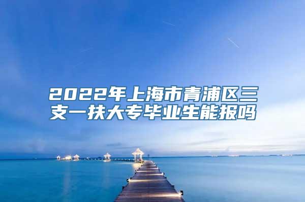 2022年上海市青浦区三支一扶大专毕业生能报吗