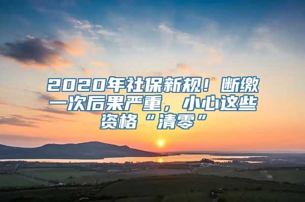 2020年社保新规！断缴一次后果严重，小心这些资格“清零”