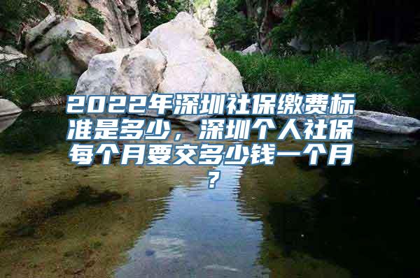 2022年深圳社保缴费标准是多少，深圳个人社保每个月要交多少钱一个月？