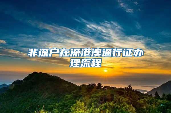 非深户在深港澳通行证办理流程