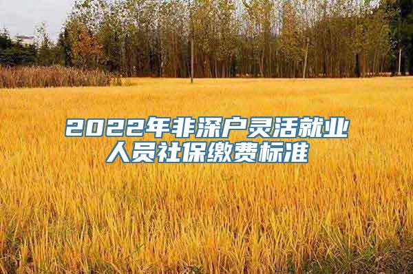 2022年非深户灵活就业人员社保缴费标准