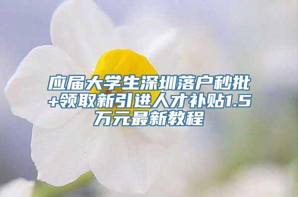 应届大学生深圳落户秒批+领取新引进人才补贴1.5万元最新教程