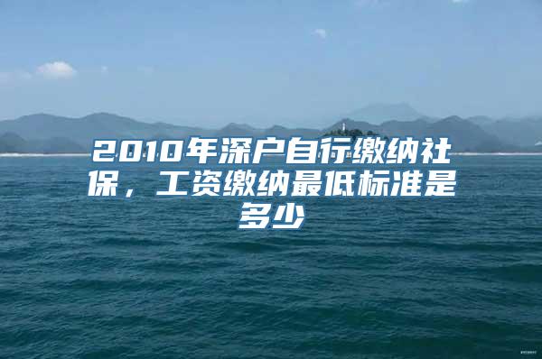 2010年深户自行缴纳社保，工资缴纳最低标准是多少