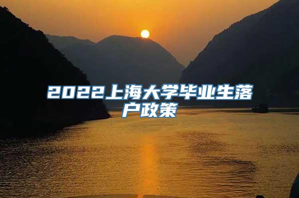 2022上海大学毕业生落户政策