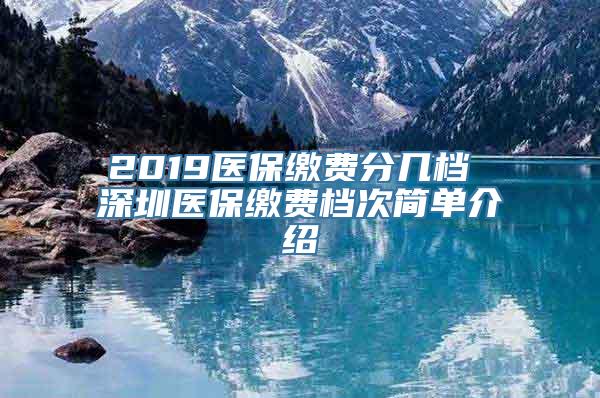 2019医保缴费分几档 深圳医保缴费档次简单介绍