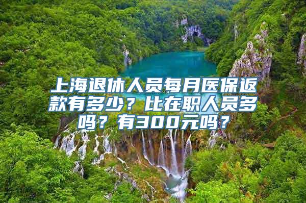 上海退休人员每月医保返款有多少？比在职人员多吗？有300元吗？