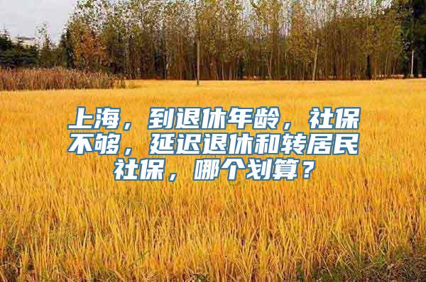 上海，到退休年龄，社保不够，延迟退休和转居民社保，哪个划算？