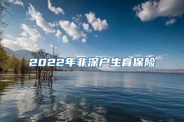 2022年非深户生育保险