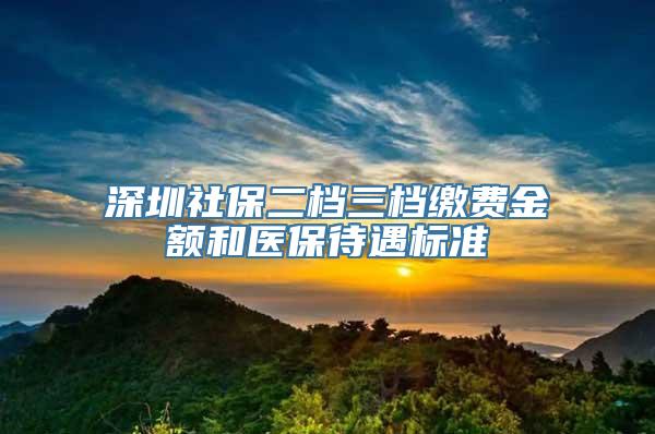 深圳社保二档三档缴费金额和医保待遇标准