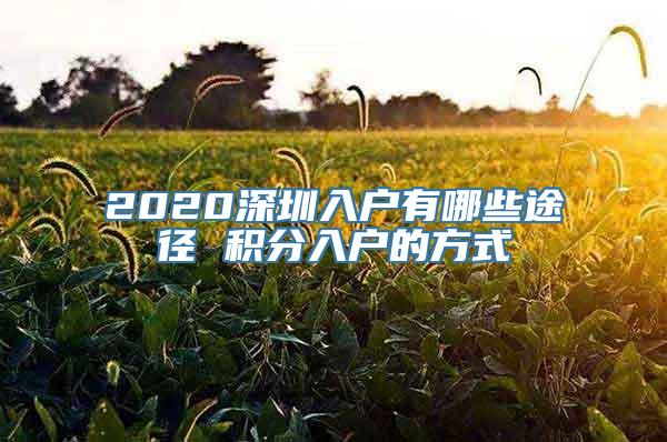 2020深圳入户有哪些途径 积分入户的方式