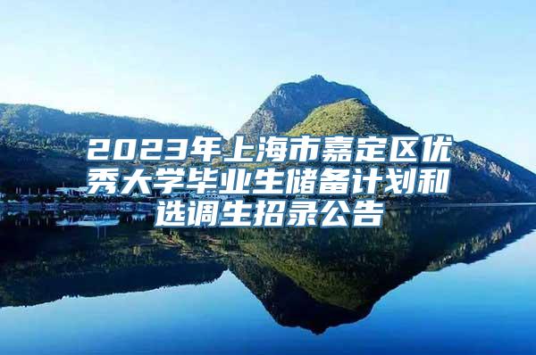 2023年上海市嘉定区优秀大学毕业生储备计划和选调生招录公告