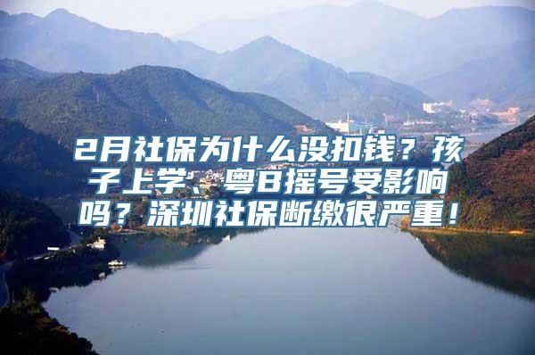 2月社保为什么没扣钱？孩子上学、粤B摇号受影响吗？深圳社保断缴很严重！