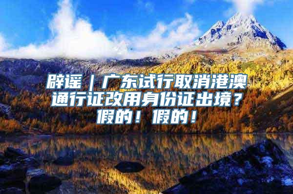 辟谣｜广东试行取消港澳通行证改用身份证出境？假的！假的！