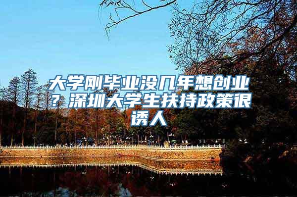 大学刚毕业没几年想创业？深圳大学生扶持政策很诱人