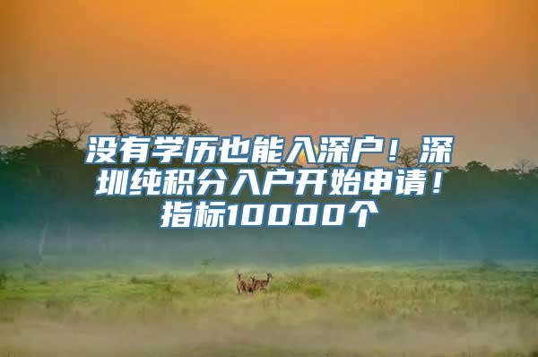 没有学历也能入深户！深圳纯积分入户开始申请！指标10000个