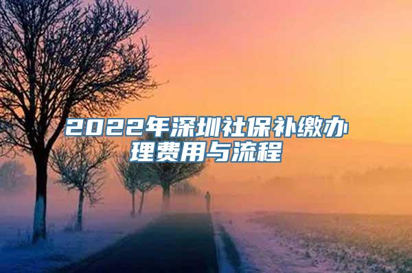 2022年深圳社保补缴办理费用与流程