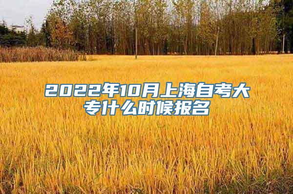 2022年10月上海自考大专什么时候报名