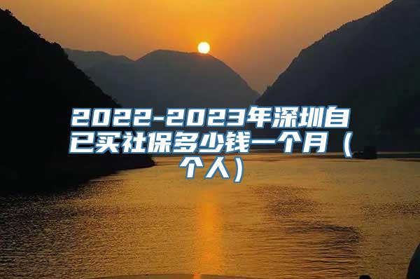 2022-2023年深圳自已买社保多少钱一个月（个人）