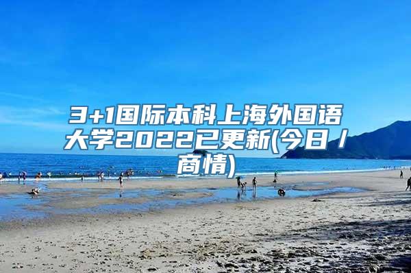 3+1国际本科上海外国语大学2022已更新(今日／商情)