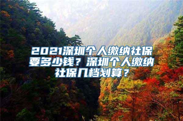 2021深圳个人缴纳社保要多少钱？深圳个人缴纳社保几档划算？