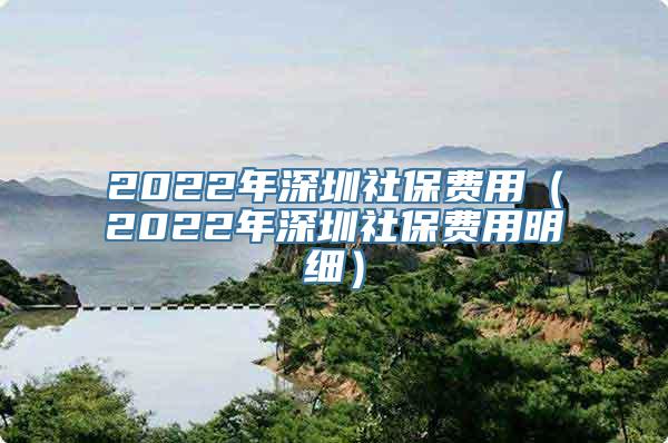 2022年深圳社保费用（2022年深圳社保费用明细）