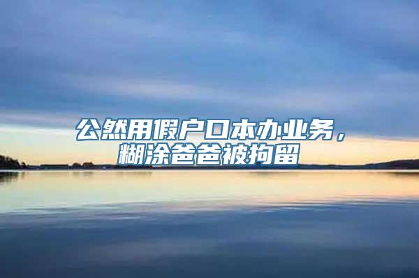 公然用假户口本办业务，糊涂爸爸被拘留