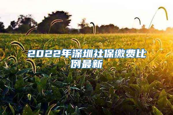 2022年深圳社保缴费比例最新