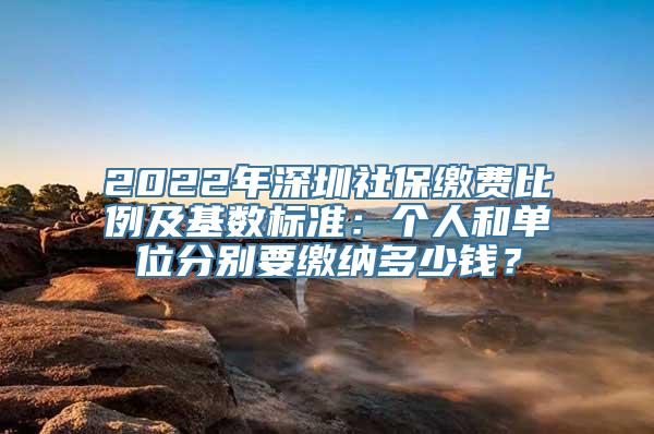 2022年深圳社保缴费比例及基数标准：个人和单位分别要缴纳多少钱？