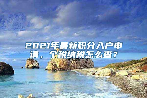 2021年最新积分入户申请，个税纳税怎么查？