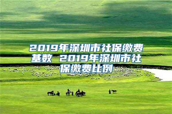 2019年深圳市社保缴费基数 2019年深圳市社保缴费比例