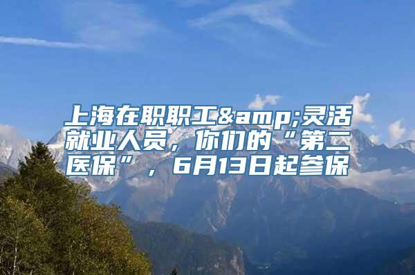 上海在职职工&灵活就业人员，你们的“第二医保”，6月13日起参保