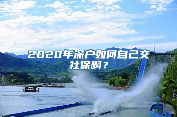 2020年深户如何自己交社保啊？