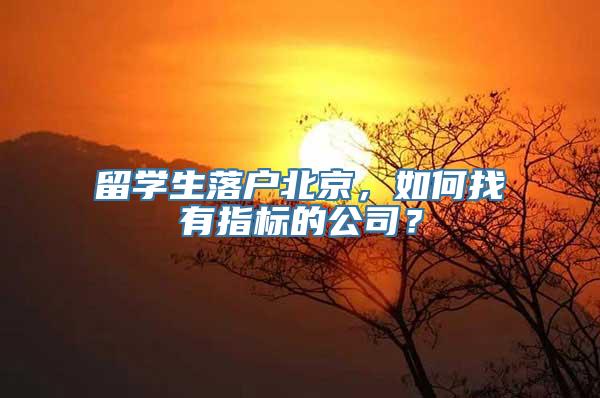 留学生落户北京，如何找有指标的公司？