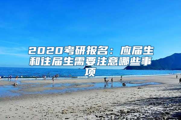 2020考研报名：应届生和往届生需要注意哪些事项