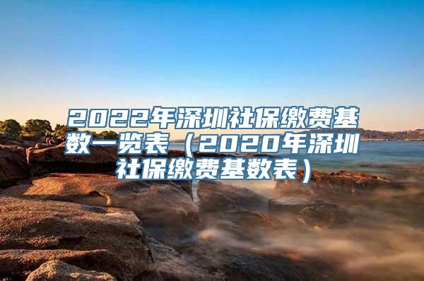 2022年深圳社保缴费基数一览表（2020年深圳社保缴费基数表）