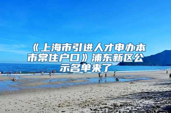 《上海市引进人才申办本市常住户口》浦东新区公示名单来了