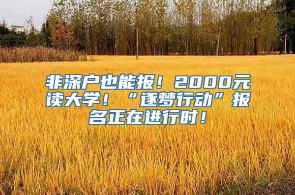 非深户也能报！2000元读大学！“逐梦行动”报名正在进行时！